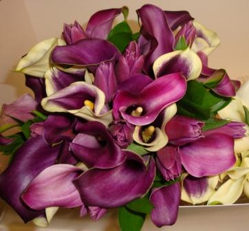 Anna's bouquet was purple tulips different shades of purple mini calla 